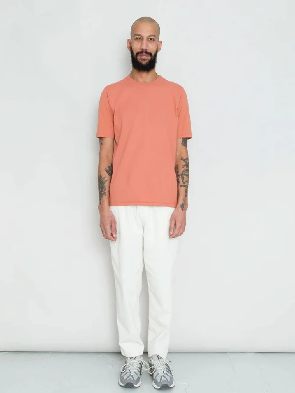 Folk Contrast Sleeve Tee in Rust